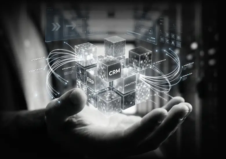 ERP & CRM Systems